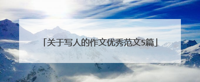 关于写人的作文优秀范文5篇