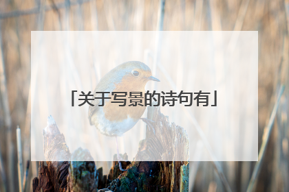 关于写景的诗句有