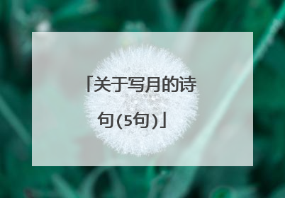 关于写月的诗句(5句)