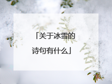 关于冰雪的诗句有什么