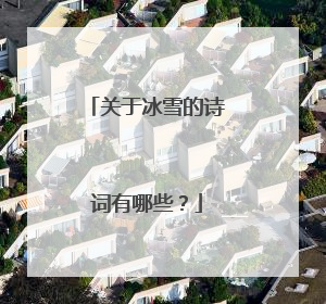 关于冰雪的诗词有哪些？