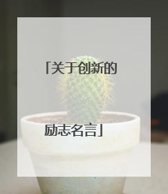 关于创新的励志名言