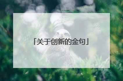 关于创新的金句