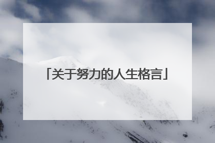 关于努力的人生格言