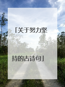 关于努力坚持的古诗句