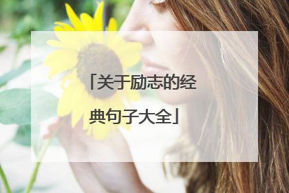 关于励志的经典句子大全