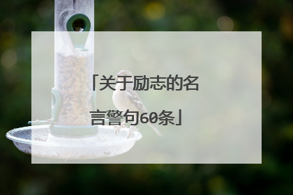 关于励志的名言警句60条