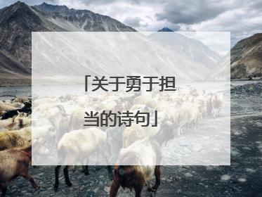 关于勇于担当的诗句