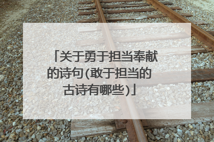 关于勇于担当奉献的诗句(敢于担当的古诗有哪些)
