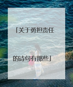 关于勇担责任的诗句有那些