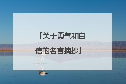 关于勇气和自信的名言摘抄