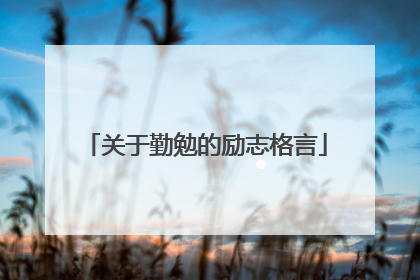 关于勤勉的励志格言