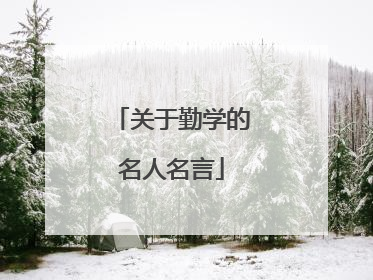 关于勤学的名人名言