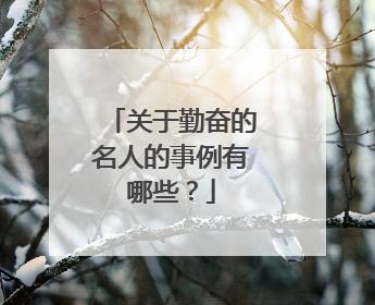 关于勤奋的名人的事例有哪些？