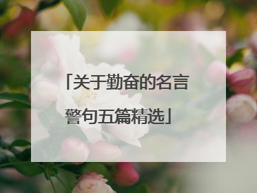 关于勤奋的名言警句五篇精选