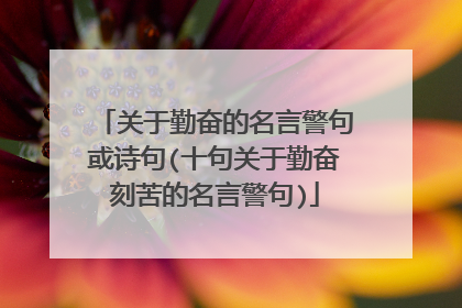 关于勤奋的名言警句或诗句(十句关于勤奋刻苦的名言警句)