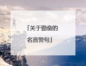 关于勤奋的名言警句