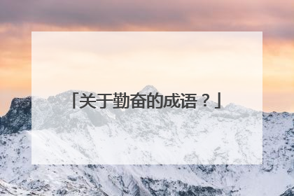 关于勤奋的成语？
