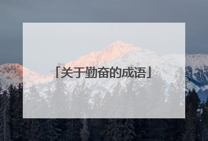 关于勤奋的成语