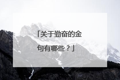 关于勤奋的金句有哪些?