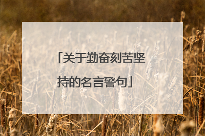 关于勤奋刻苦坚持的名言警句