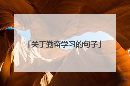 关于勤奋学习的句子