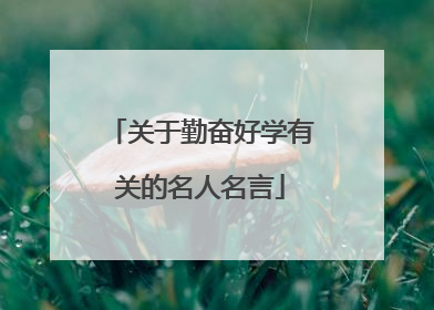 关于勤奋好学有关的名人名言
