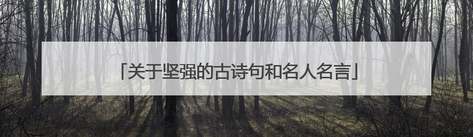 关于坚强的古诗句和名人名言