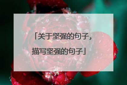 关于坚强的句子,描写坚强的句子