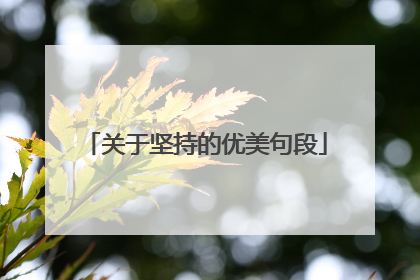 关于坚持的优美句段