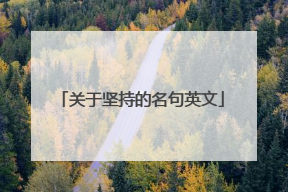 关于坚持的名句英文