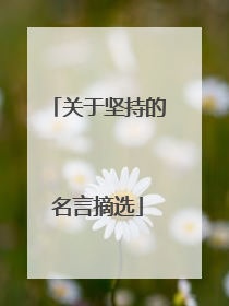 关于坚持的名言摘选