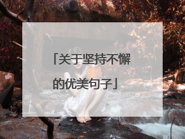 关于坚持不懈的优美句子