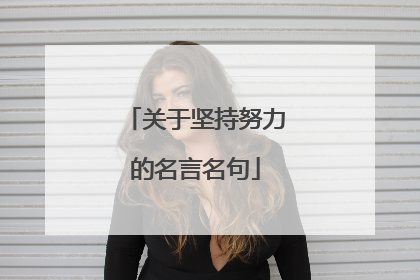 关于坚持努力的名言名句