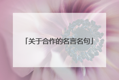 关于合作的名言名句