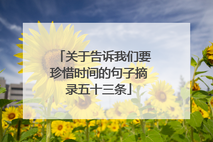 关于告诉我们要珍惜时间的句子摘录五十三条