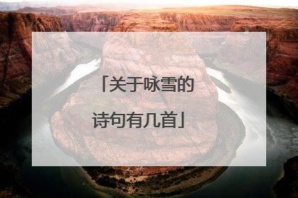 关于咏雪的诗句有几首