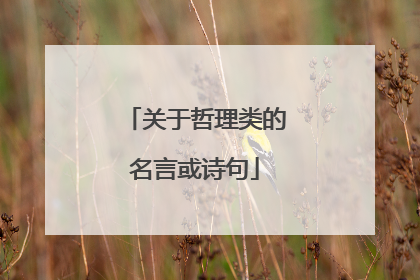 关于哲理类的名言或诗句