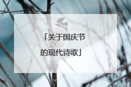 关于国庆节的现代诗歌