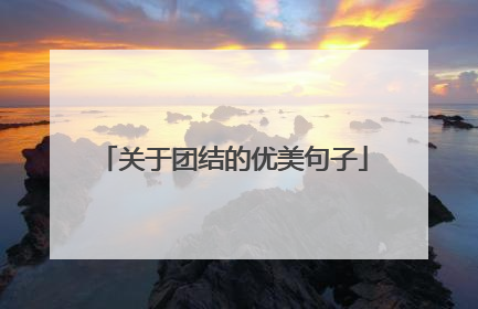 关于团结的优美句子