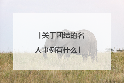 关于团结的名人事例有什么