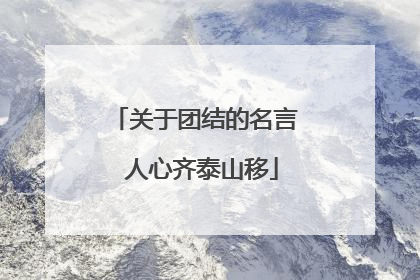 关于团结的名言 人心齐泰山移