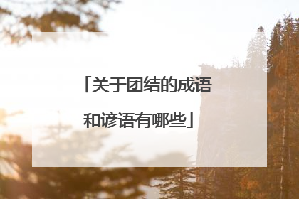 关于团结的成语和谚语有哪些