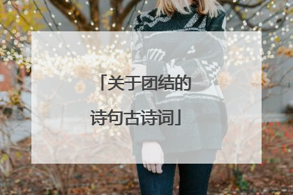 关于团结的诗句古诗词