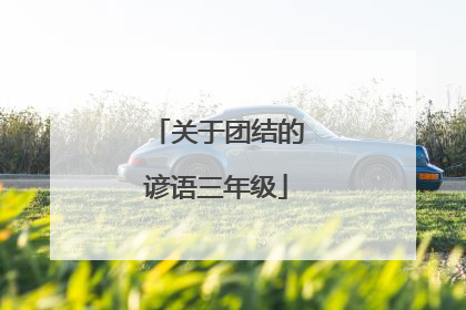 关于团结的谚语三年级