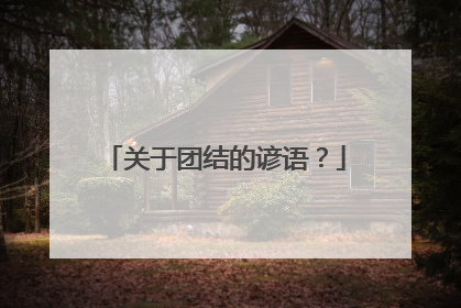 关于团结的谚语？