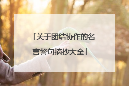 关于团结协作的名言警句摘抄大全