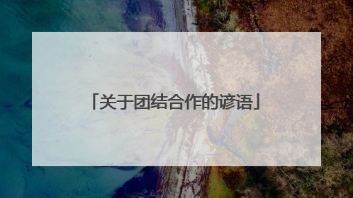 关于团结合作的谚语