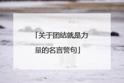 关于团结就是力量的名言警句