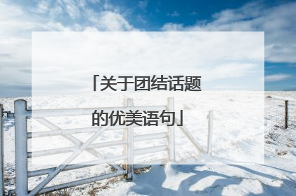关于团结话题的优美语句